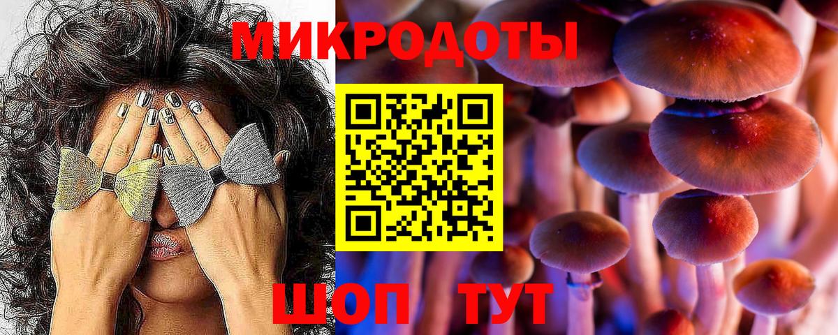 Псилоцибиновые грибы прущие грибы Коряжма