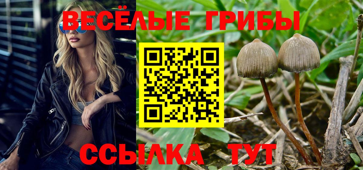 Псилоцибиновые грибы Cubensis  Псилоцибиновые грибы мухоморы  Коряжма  Вход с VPN 